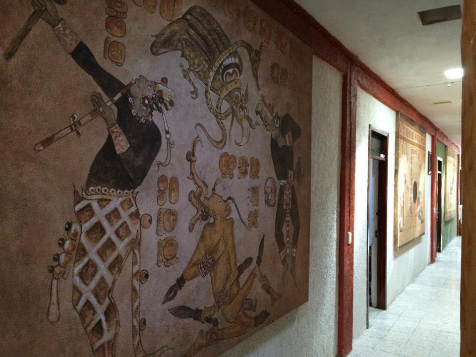 Hostel Mayayoga トゥルム エクステリア 写真