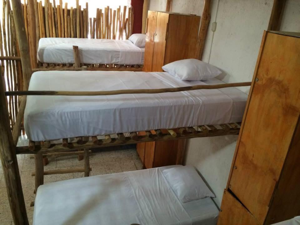 Hostel Mayayoga トゥルム エクステリア 写真